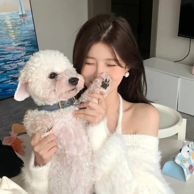 纽泽西之罪